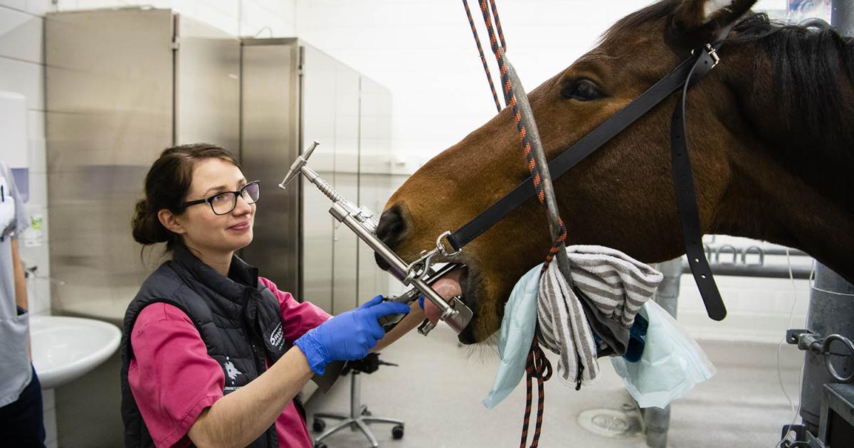 Oral and dental care Veterinary Teaching Hospital University of Helsinki